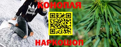 прущие грибы Конаково